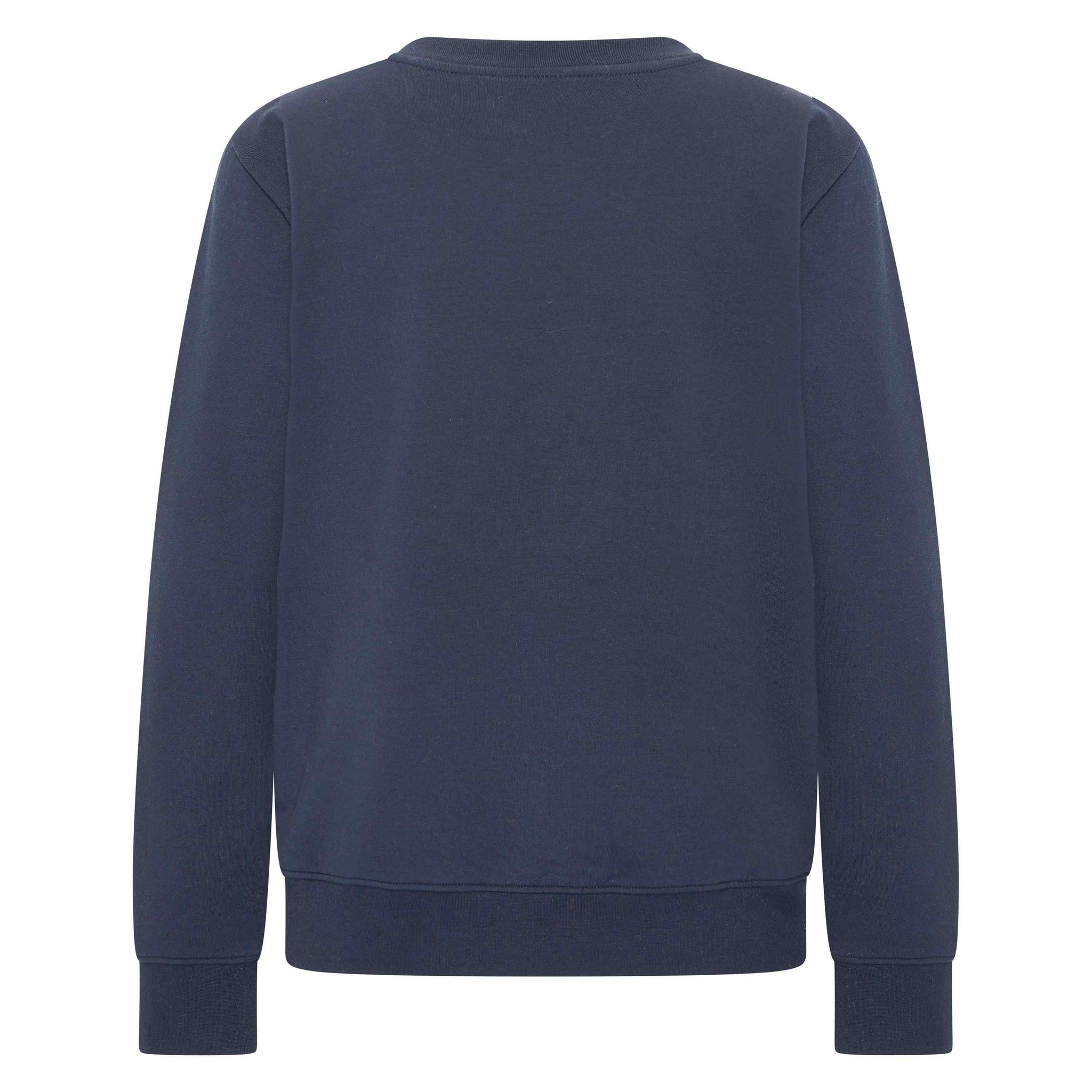 HV beagle embroidered sweater in navy (back)